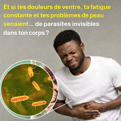 Candida Cleanse Gélules d'extrait de feuilles d'origan - probiotiques pour la santé intestinale