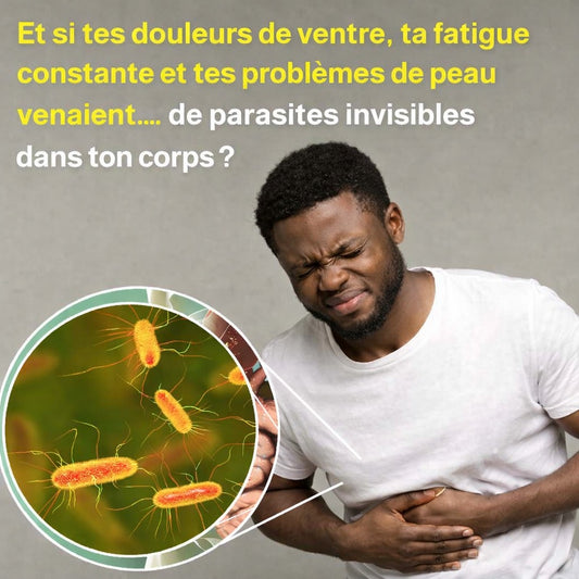 Candida Cleanse Gélules d'extrait de feuilles d'origan - probiotiques pour la santé intestinale