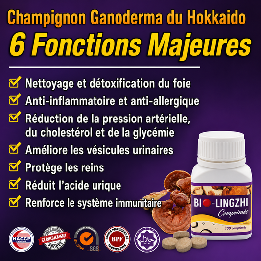 Bio-Lingzhi pour Soutenir la Santé des Reins & du Foie