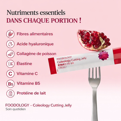 Gelée de coupe de coléologie avec graines de chia et bâtonnets de gelée au collagène