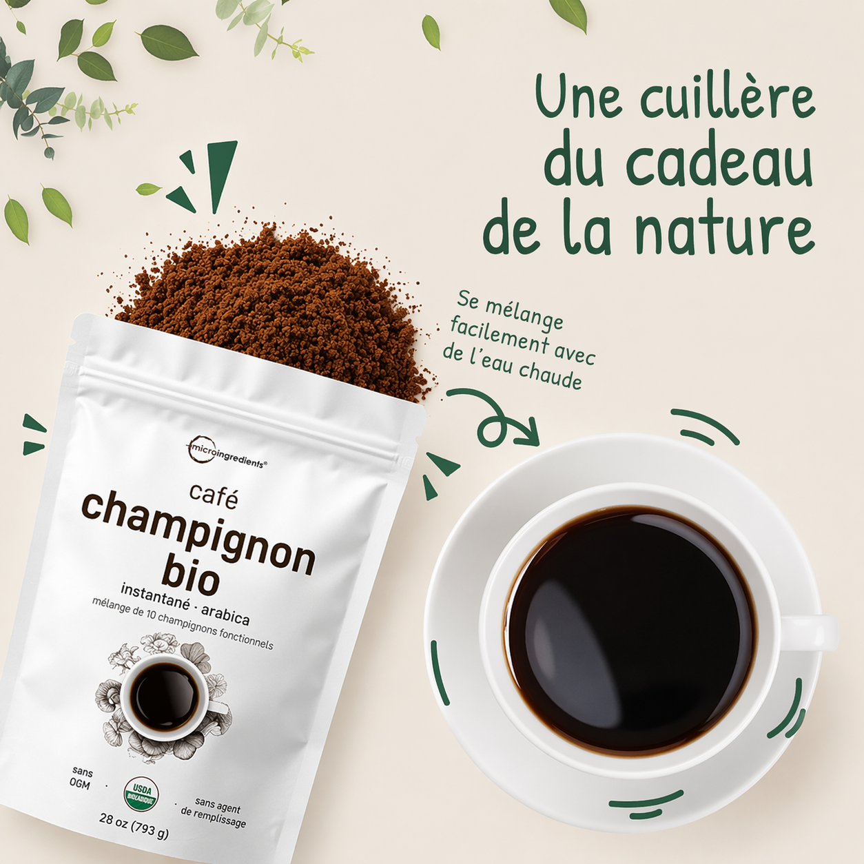 Café aux champignons en poudre pour transformez votre corps