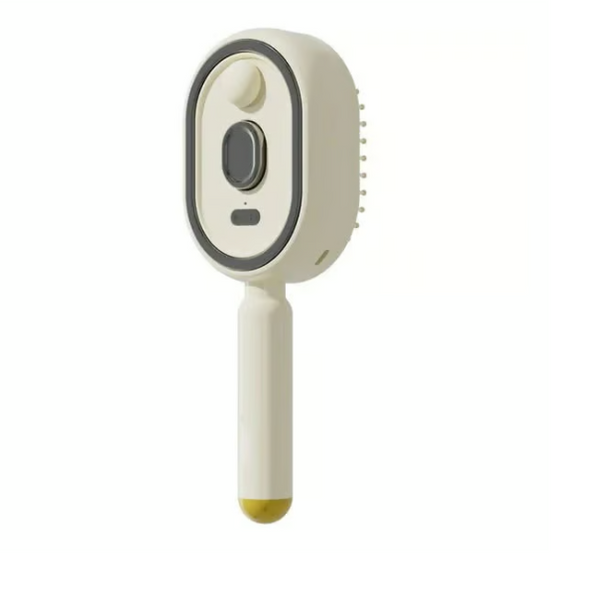 Brosse à Vapeur Professionnelle Sans Fil