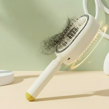 Brosse à Vapeur Professionnelle Sans Fil