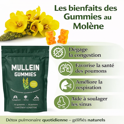 Mullein Gummies -complément alimentaire à base de plantes